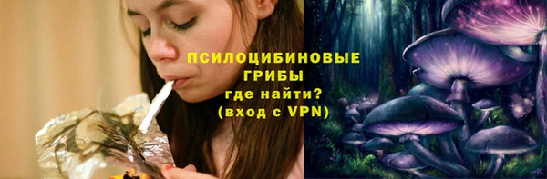 дмт Бородино