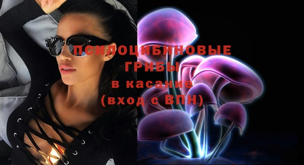 дмт Бородино