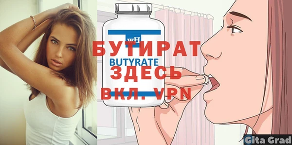 дмт Бородино
