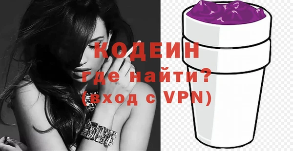 дмт Бородино