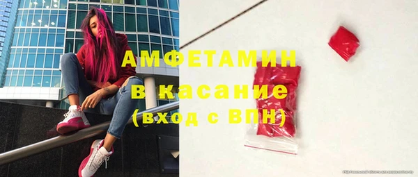 дмт Бородино