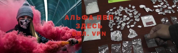 дмт Бородино