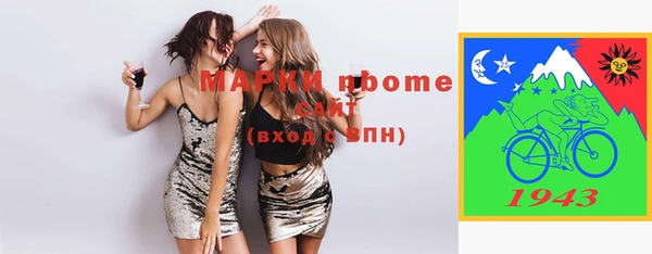 дмт Бородино