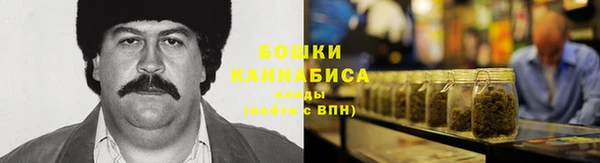 дмт Бородино