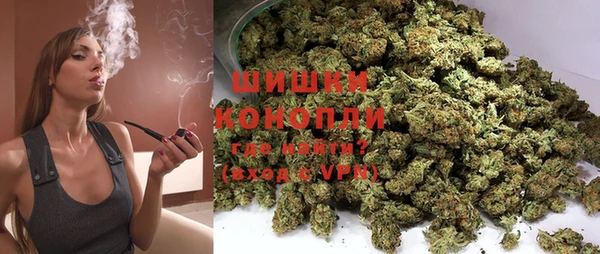 дмт Бородино