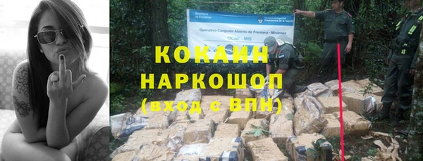 дмт Бородино