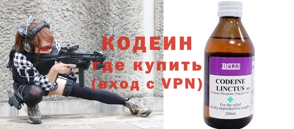дмт Бородино