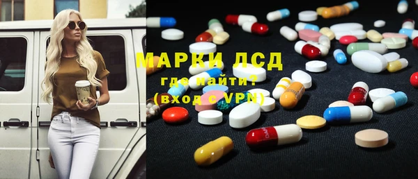 дмт Бородино