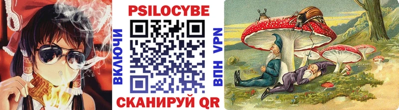 Галлюциногенные грибы GOLDEN TEACHER  Купить закладки  Великий Устюг 