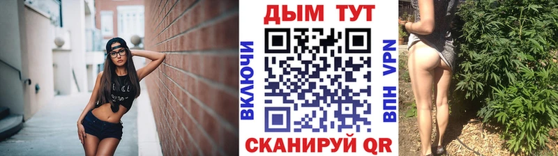 Бошки марихуана планчик  Купить  Великий Устюг 